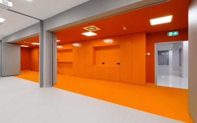 Providing ample shared office resources to startups and mid-level corporations